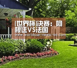 [世界杯]决赛：阿根廷VS法国