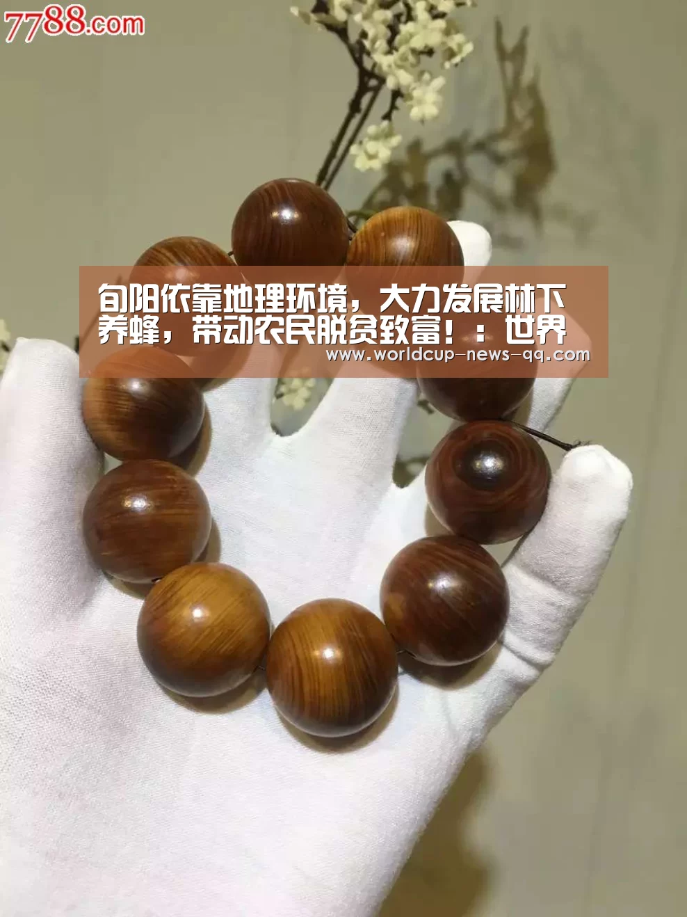 旬阳依靠地理环境,大力发展林下养蜂,带动农民脱贫致富!:世界杯直播(图2) 世界杯直播