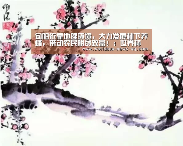 旬阳依靠地理环境,大力发展林下养蜂,带动农民脱贫致富!:世界杯直播(图3) 世界杯直播