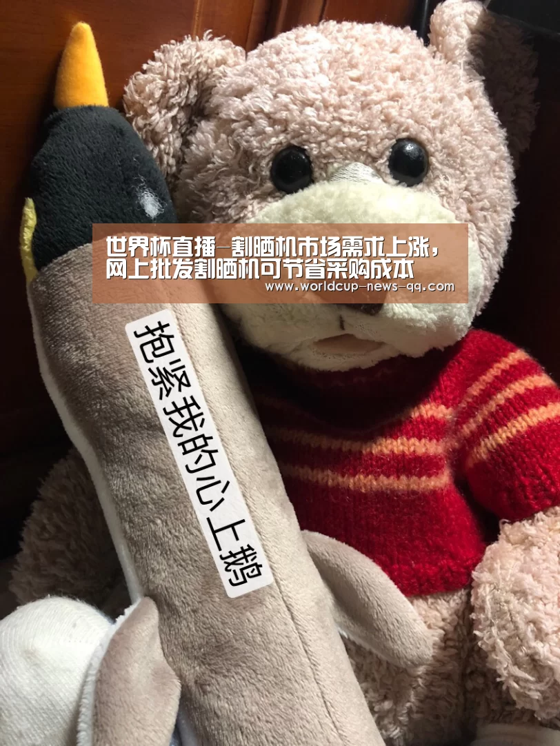 世界杯直播-割晒机市场需求上涨,网上批发割晒机可节省采购成本(图2) 2026世界杯赛程