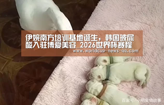 伊婉南方培训基地诞生,韩国玻尿酸入驻博爱美容_2026世界杯赛程(图3) 2026世界杯赛程