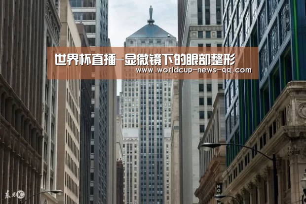 世界杯直播-显微镜下的眼部整形(图1) 世界杯直播