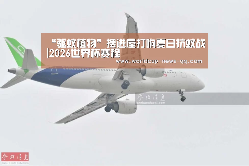 2026世界杯赛程