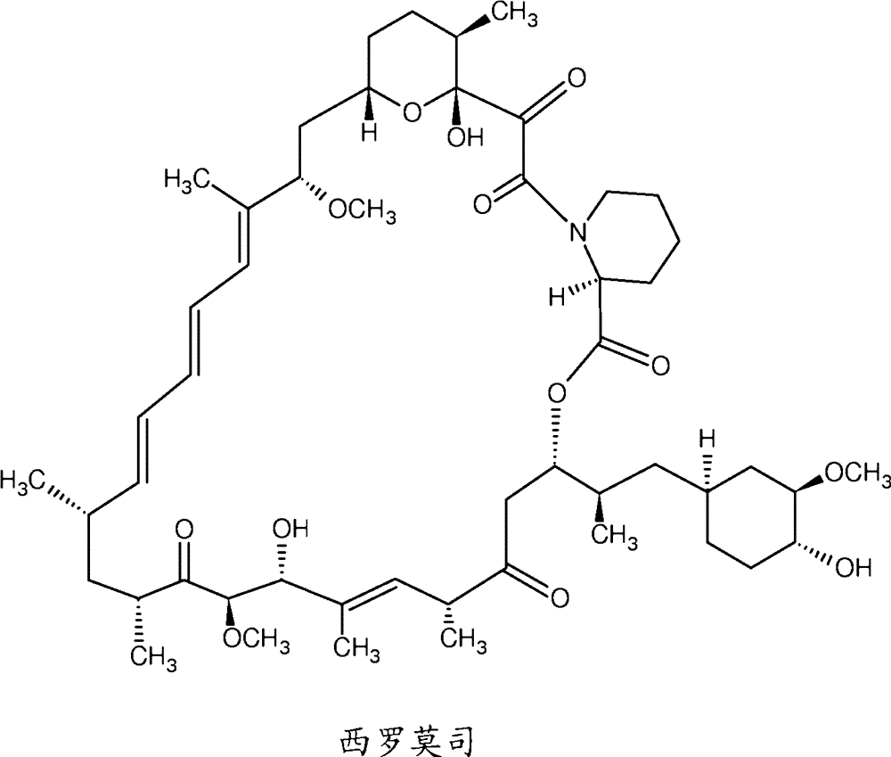 世界杯直播